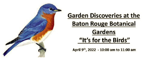 Garden Discoveries at the Baton Rouge botanical Gardens. It's for the birds. April 9th, 2022 - 10 am to 11 am.
